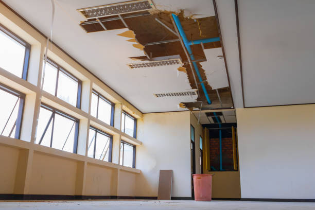 Best Water damage contractors near me  in Schuyler, NE