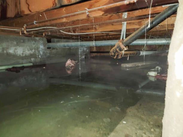 Best Water damage restoration near me  in Schuyler, NE