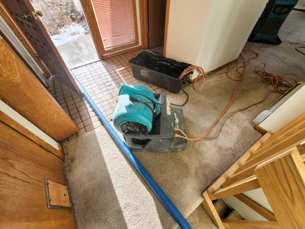 Best Local water damage restoration  in Schuyler, NE