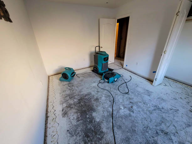 Best Flood damage cleanup  in Schuyler, NE