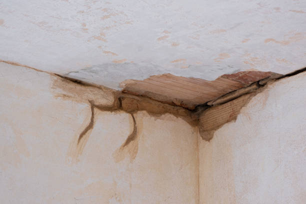 Best Fire Damage Restoration  in Schuyler, NE