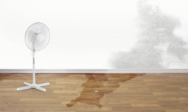 Best 24-hour water damage restoration  in Schuyler, NE