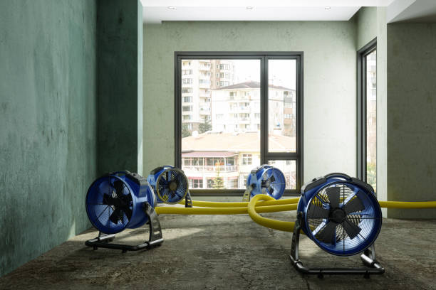 Best Ceiling water damage repair  in Schuyler, NE